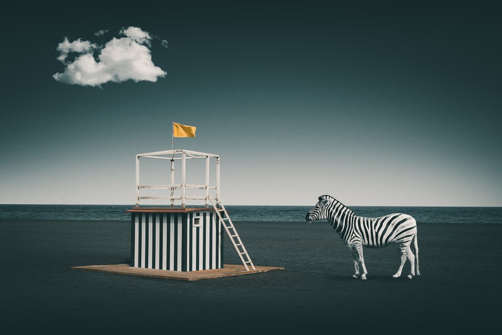 La cebra de la playa surrealista de Marcus Hennen