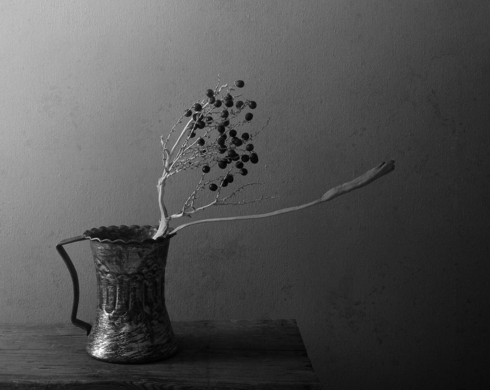Naturaleza muerta con bayas oscuras de Margaret Halaby