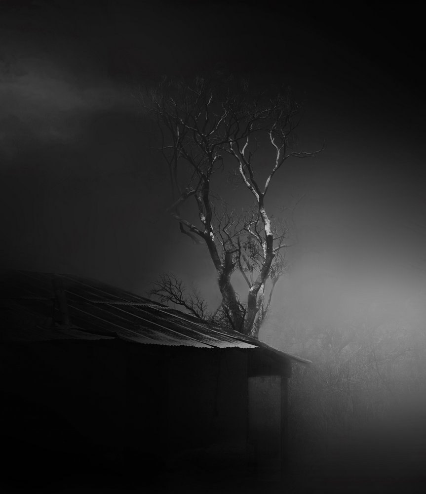 El inquietante árbol envuelto en niebla de Margaret Halaby