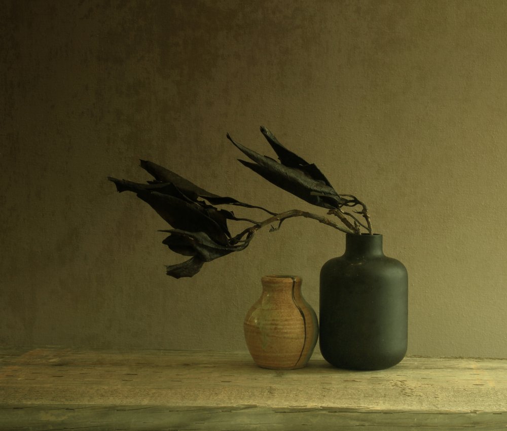Naturaleza muerta minimalista con hojas de Margaret Halaby