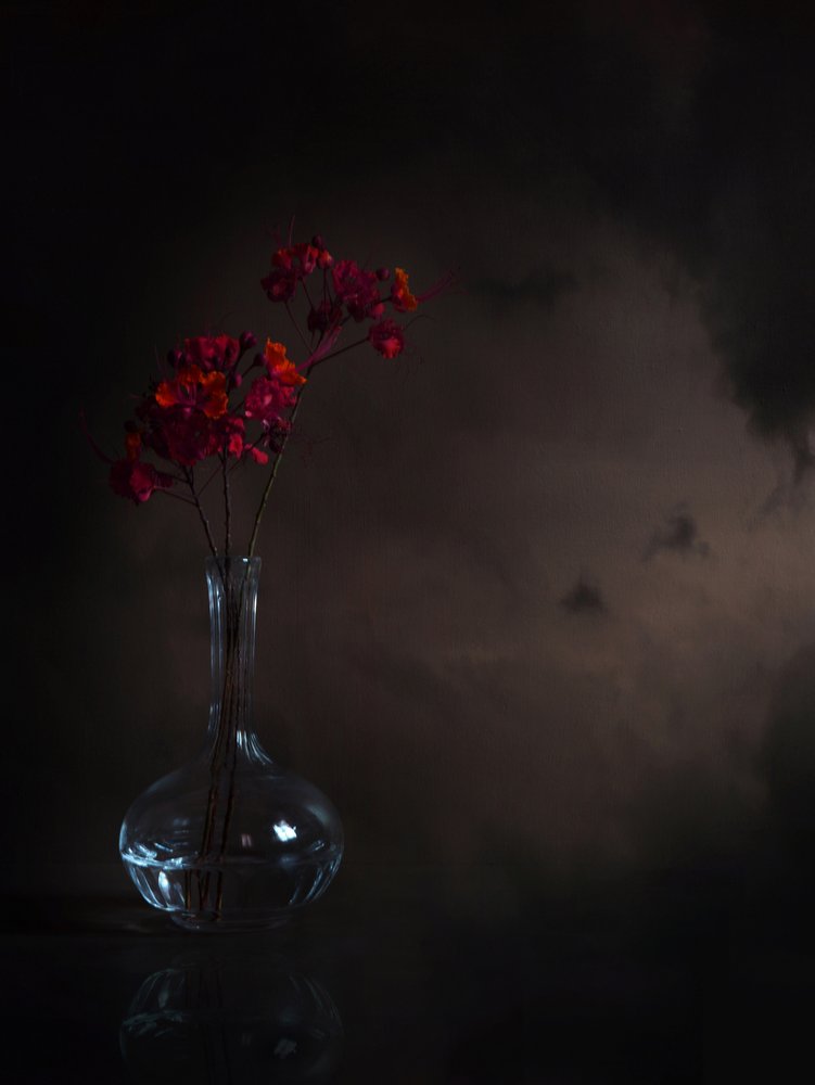Flores rojas melancólicas de Margaret Halaby