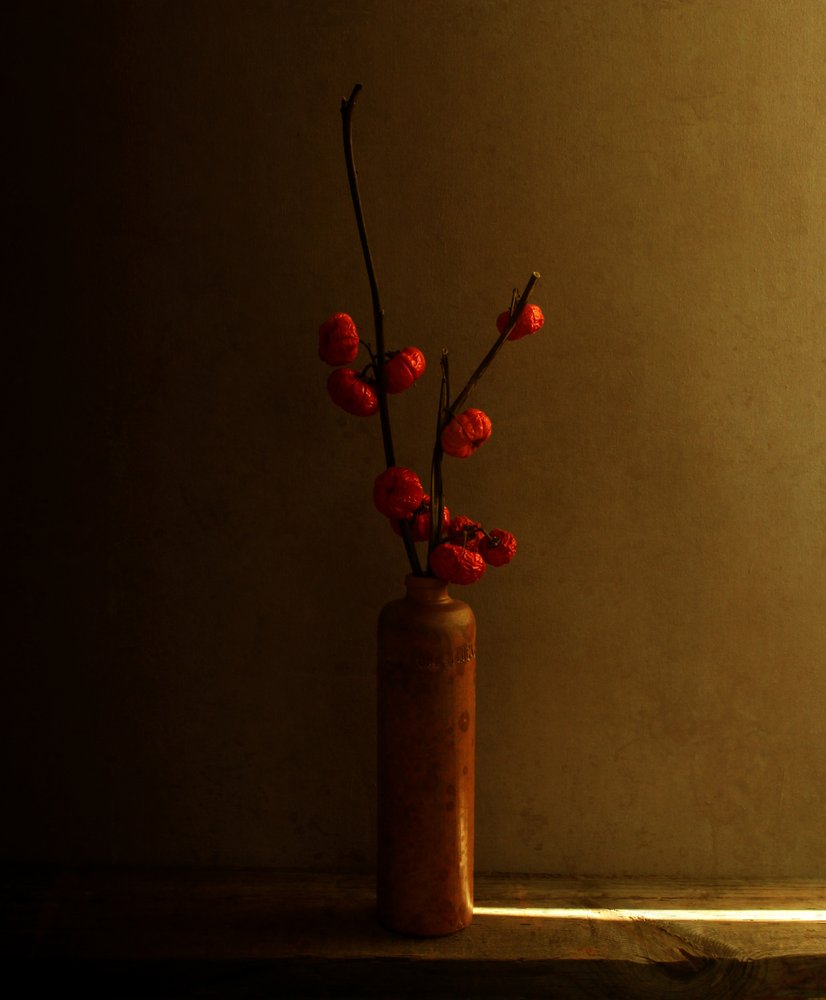 Naturaleza muerta con bayas rojas de Margaret Halaby
