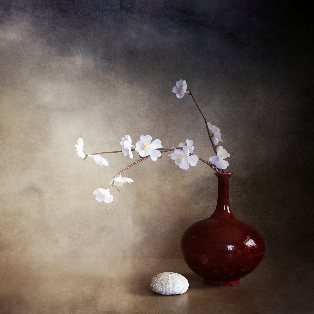 Tranquilas flores de cerezo de Margaret Halaby