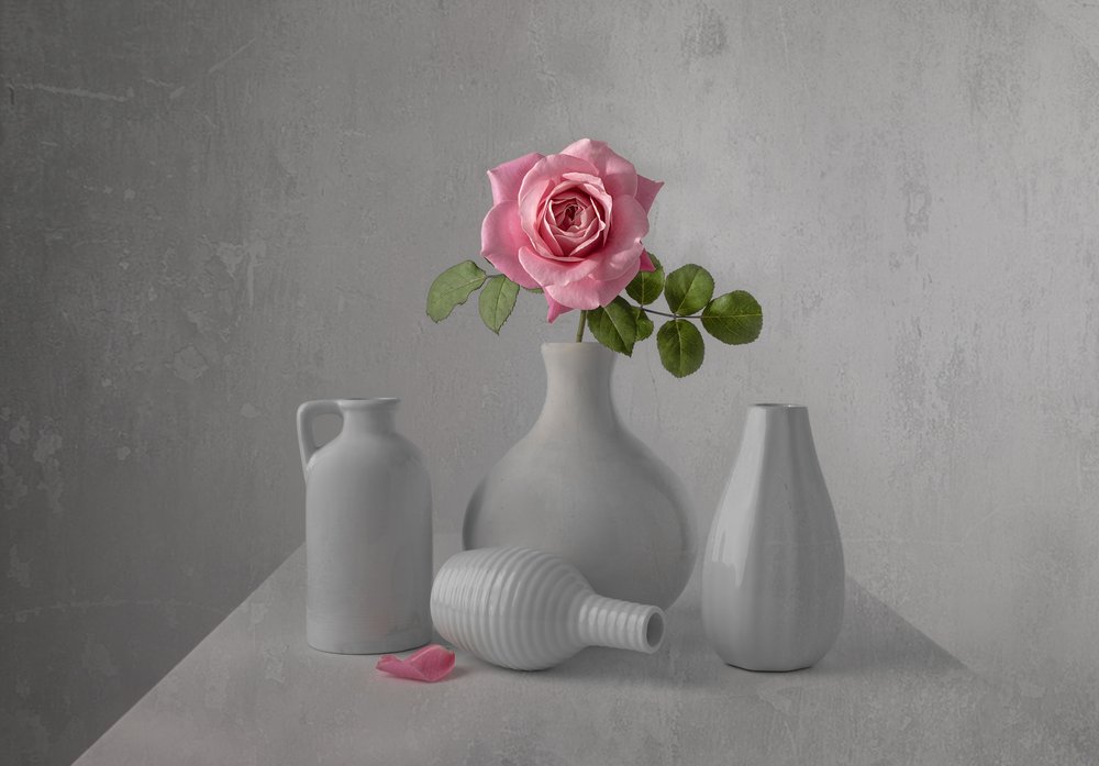 Naturaleza muerta con una delicada rosa rosa de Margareth Perfoncio