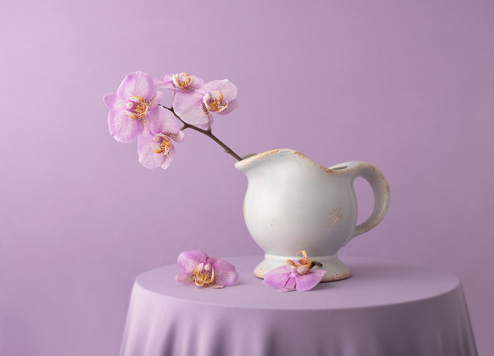  de Margareth Perfoncio