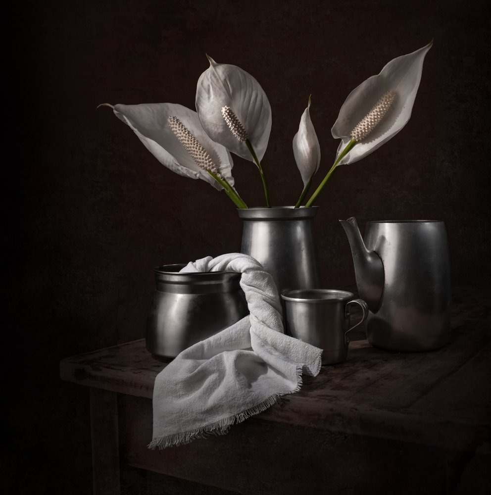 Elegantes lirios de la paz de Margareth Perfoncio