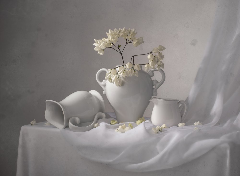 Elegante naturaleza muerta en blanco de Margareth Perfoncio