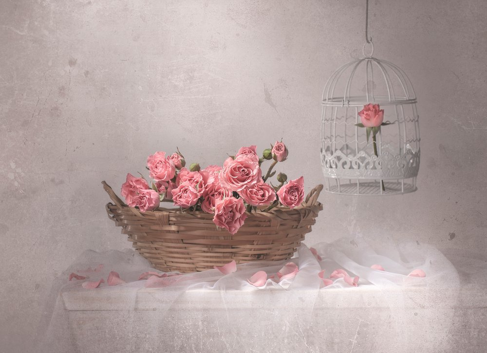 Rosas rosas y una jaula de pájaros de Margareth Perfoncio