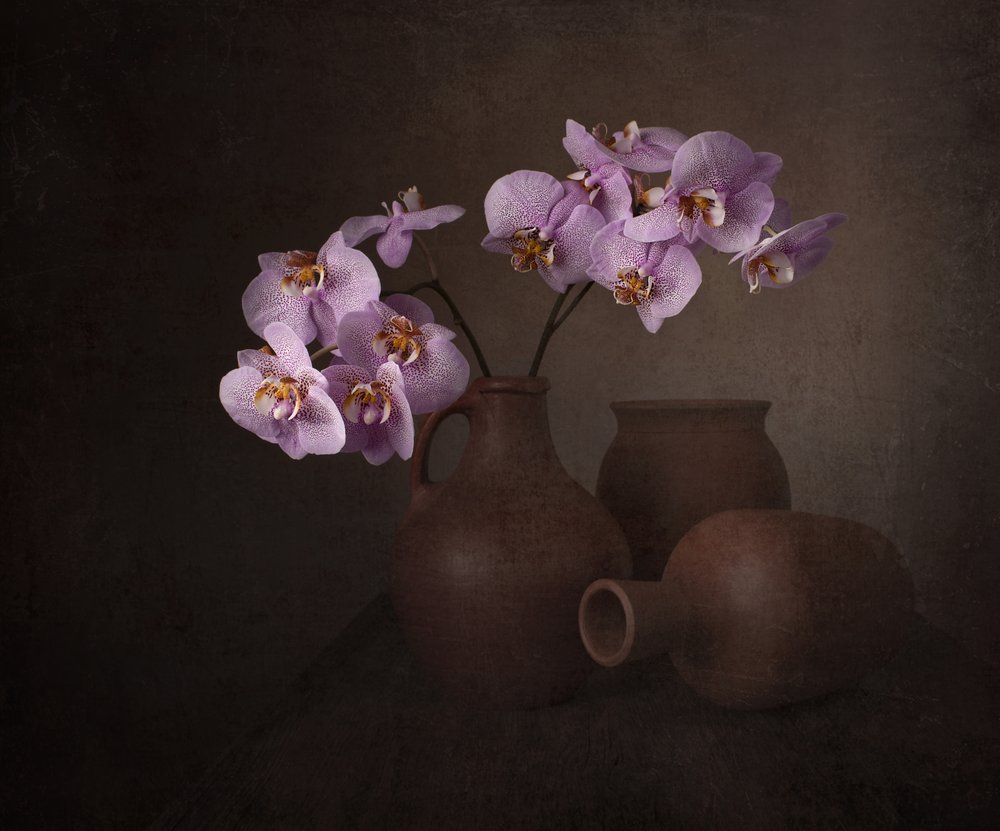 Naturaleza muerta con orquídeas moradas de Margareth Perfoncio