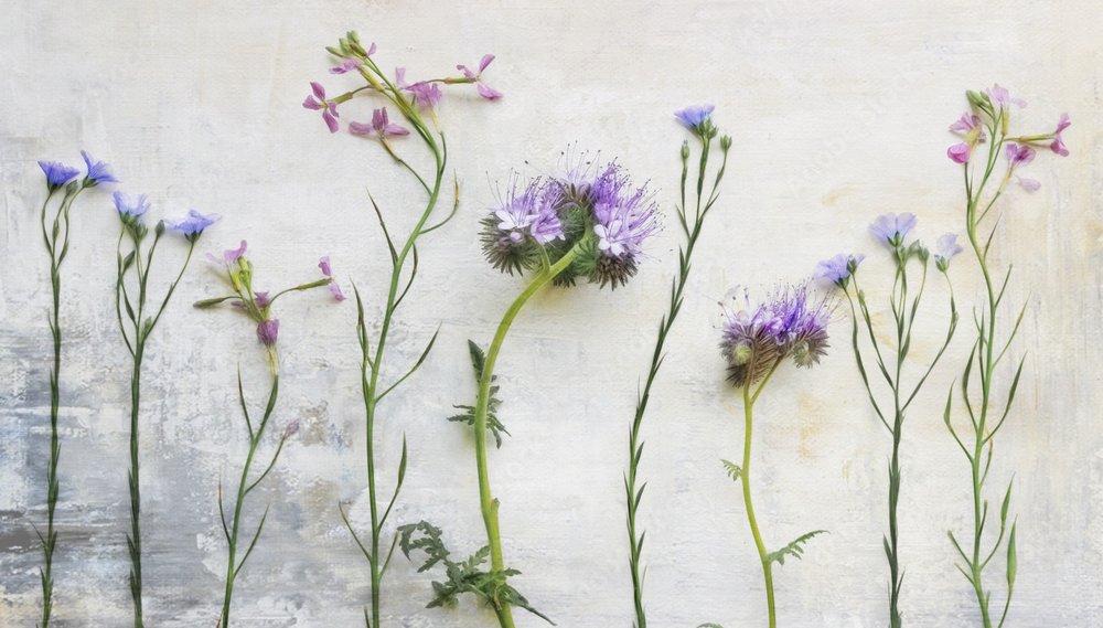 Tallos etéreos de flores silvestres de Marie-anne Stas