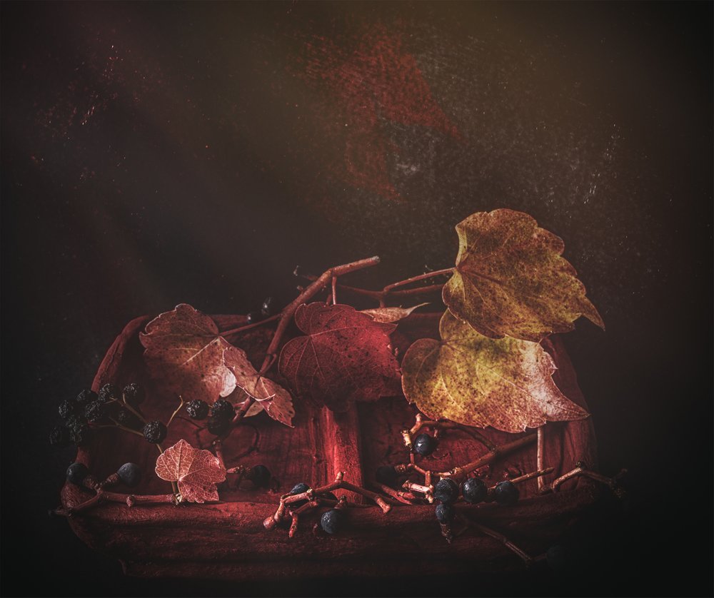 Hojas de otoño melancólicas de Marie-anne Stas