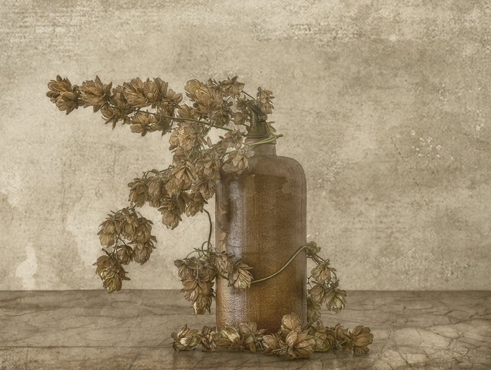 Naturaleza muerta rústica con lúpulo de Marie-anne Stas