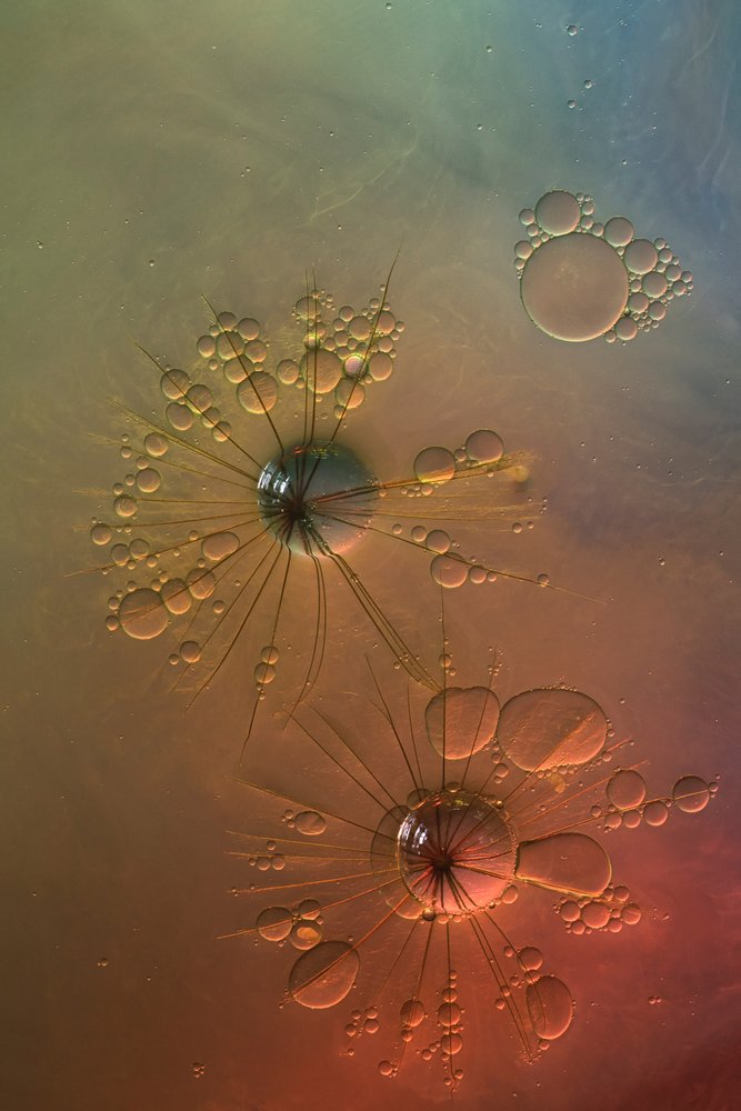 Estrellas de colores que se expanden de Marijose Cueli