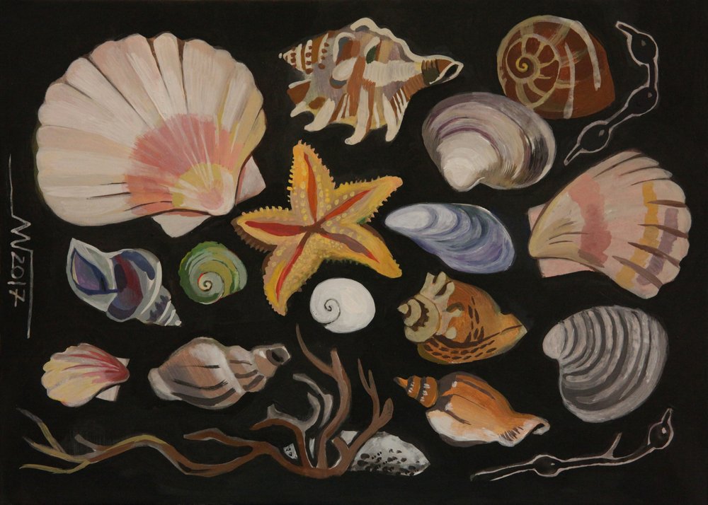 Colección de conchas marinas de Marina Gorkaeva