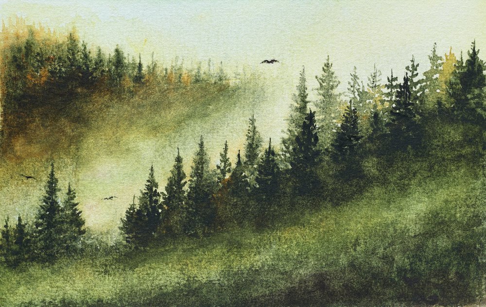 Bosque perenne brumoso de Marina Kozyr
