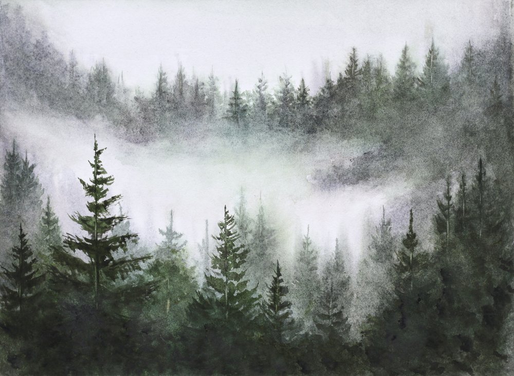 Serenidad del bosque brumoso de Marina Kozyr