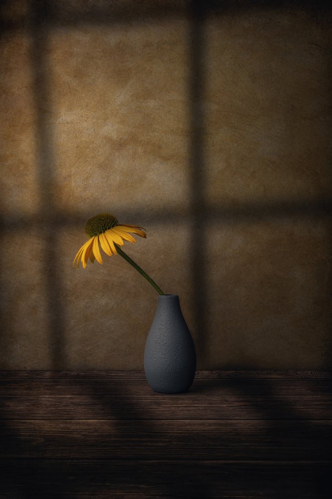 Sombra de flor amarilla de Marko Klavs