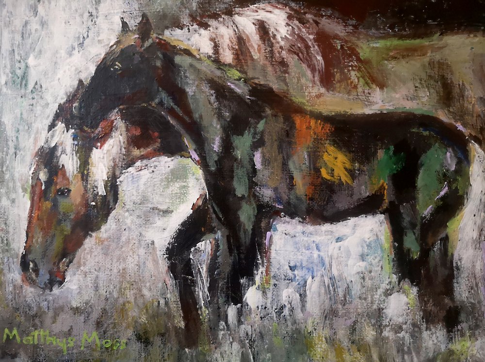 Caballos salvajes de colores de Matthys Moss