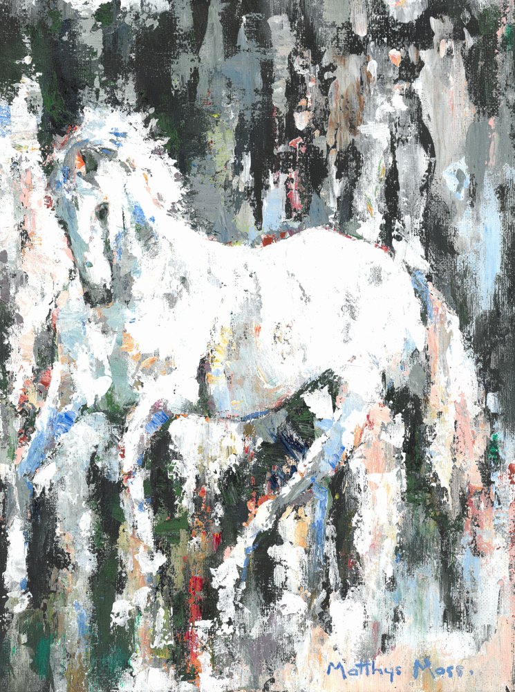 El caballo blanco vivaz de Matthys Moss