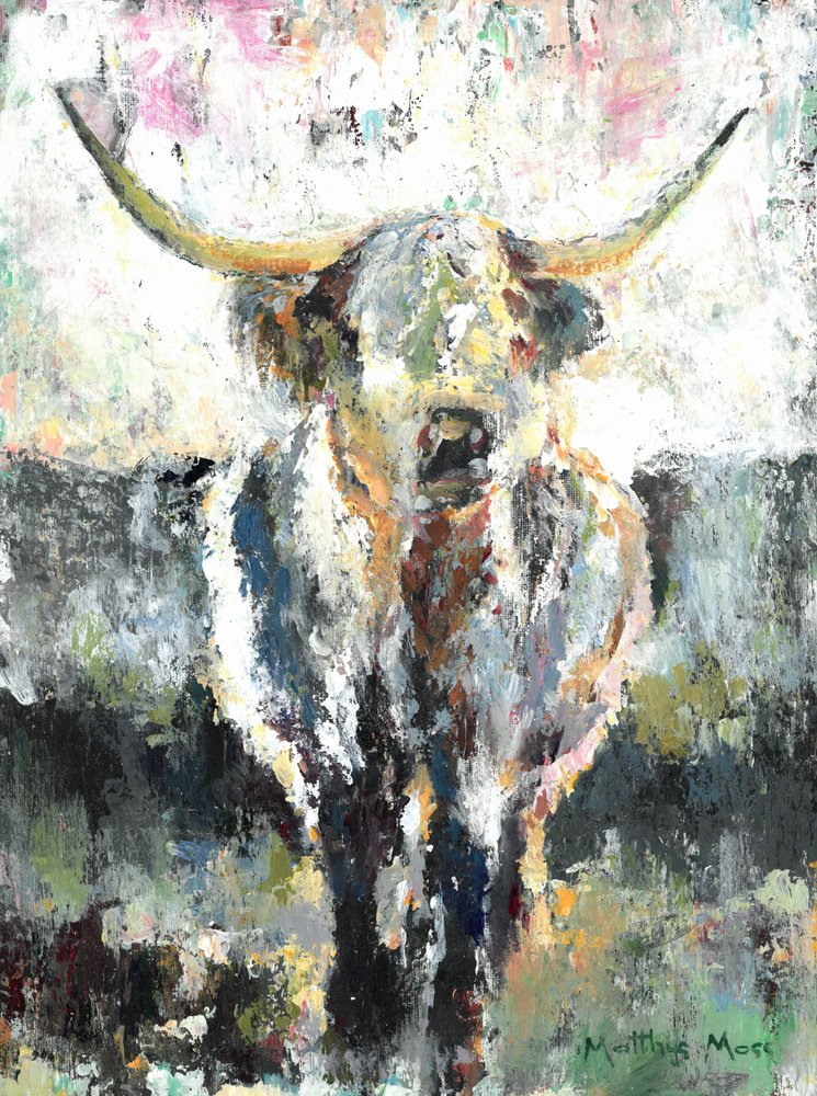Vaca de las Highlands con pelaje texturizado de Matthys Moss