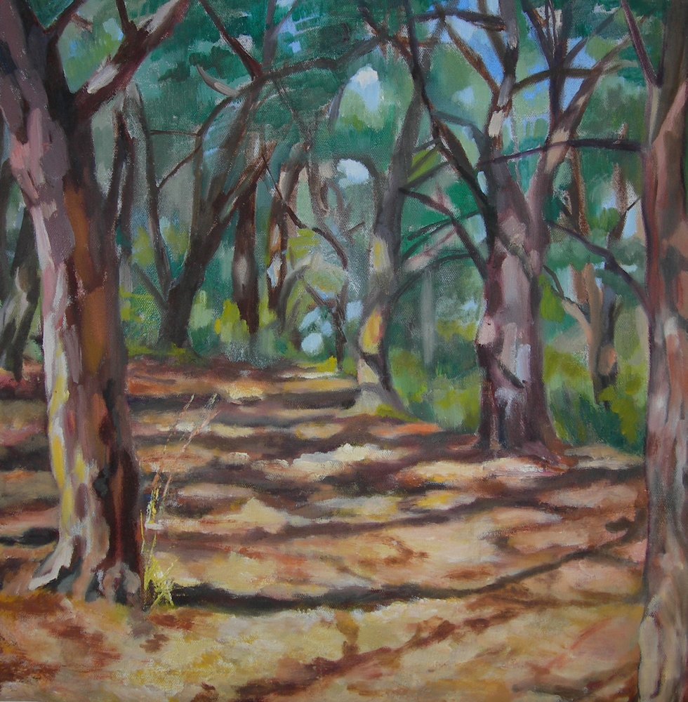 Sendero boscoso salpicado de luz de Maxine Shore