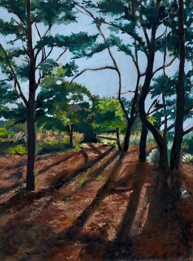 Sendero del bosque: Sombras largas de Maxine Shore
