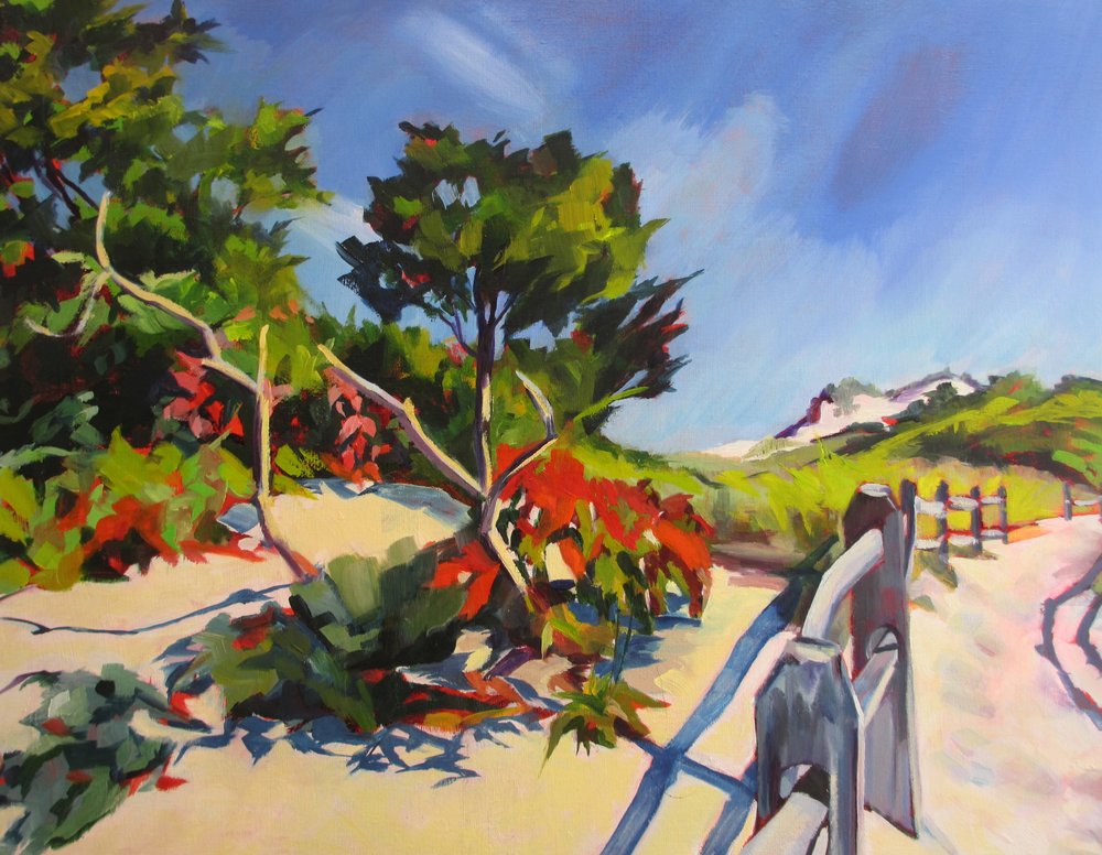 Las vibrantes dunas de la playa de Maxine Shore