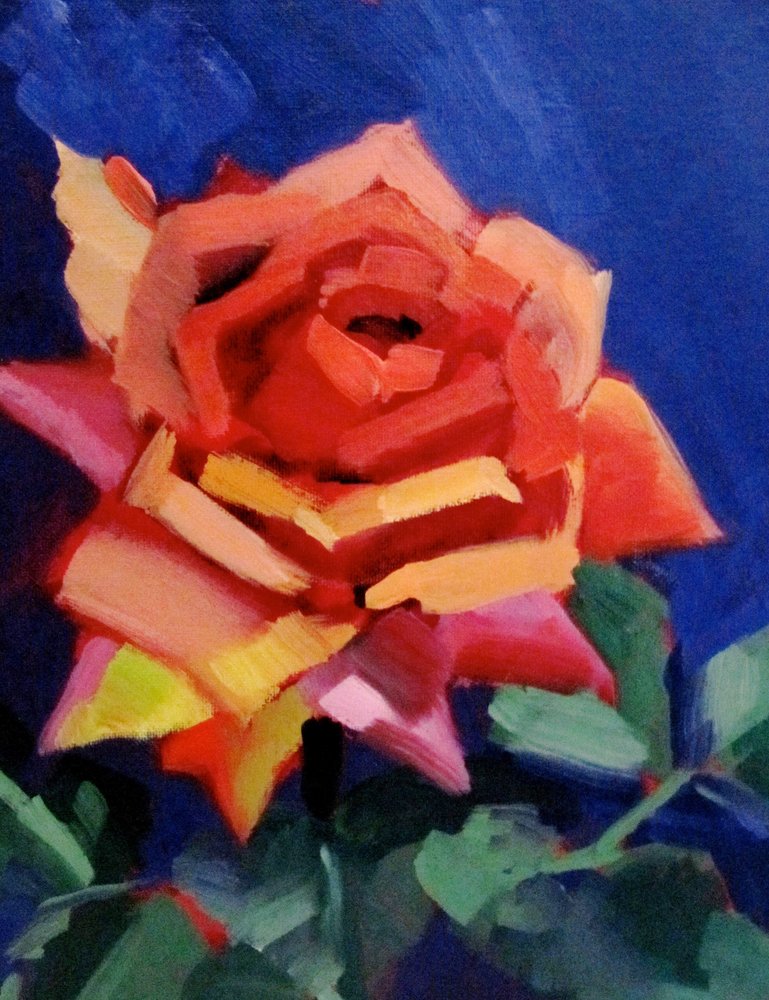 Una flor de rosa de colores vivos de Maxine Shore