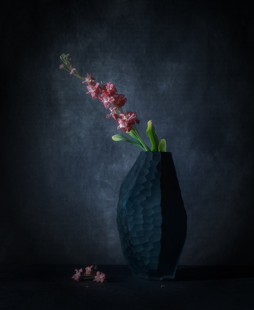 Elegancia floral oscura de May G