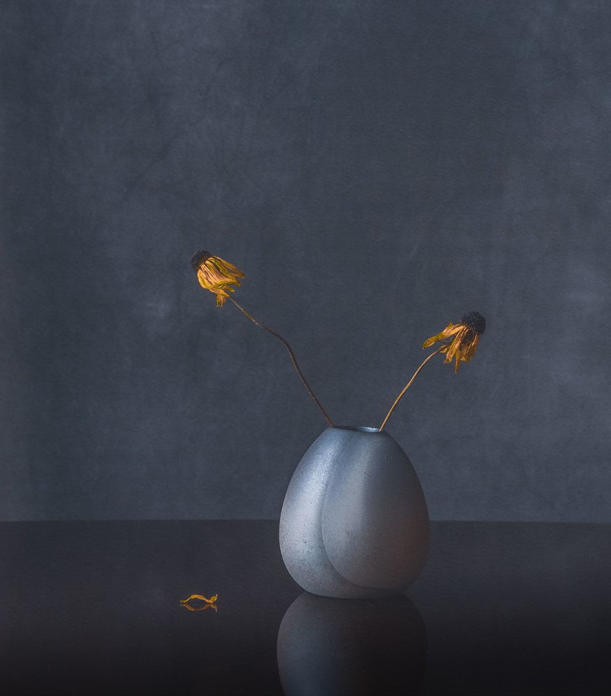 Elegantes flores secas de May G