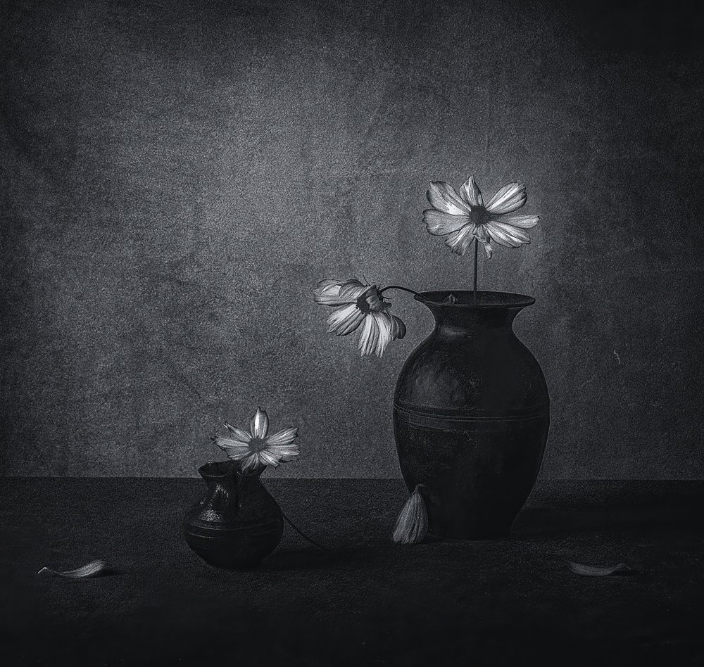Naturaleza muerta floral marchita de May G
