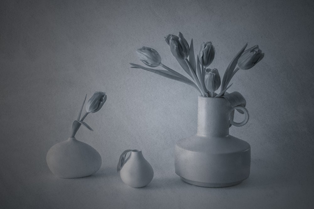 Naturaleza muerta de tulipanes de Moody de May G