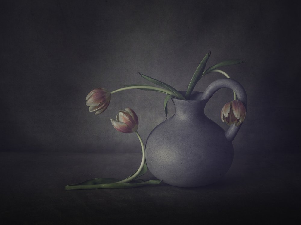 Naturaleza muerta con tulipanes melancólicos de May G