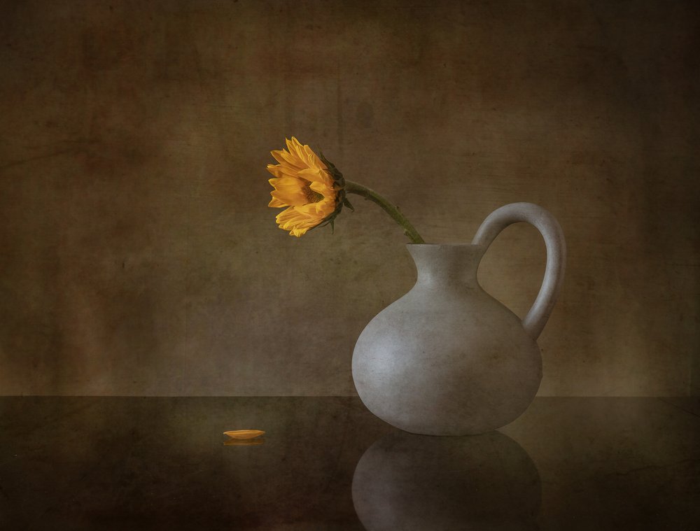 Flor amarilla melancólica de May G