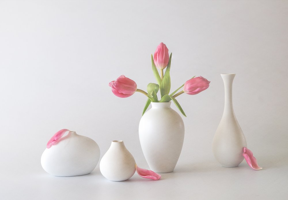 Tulipanes rosas en jarrones de May G