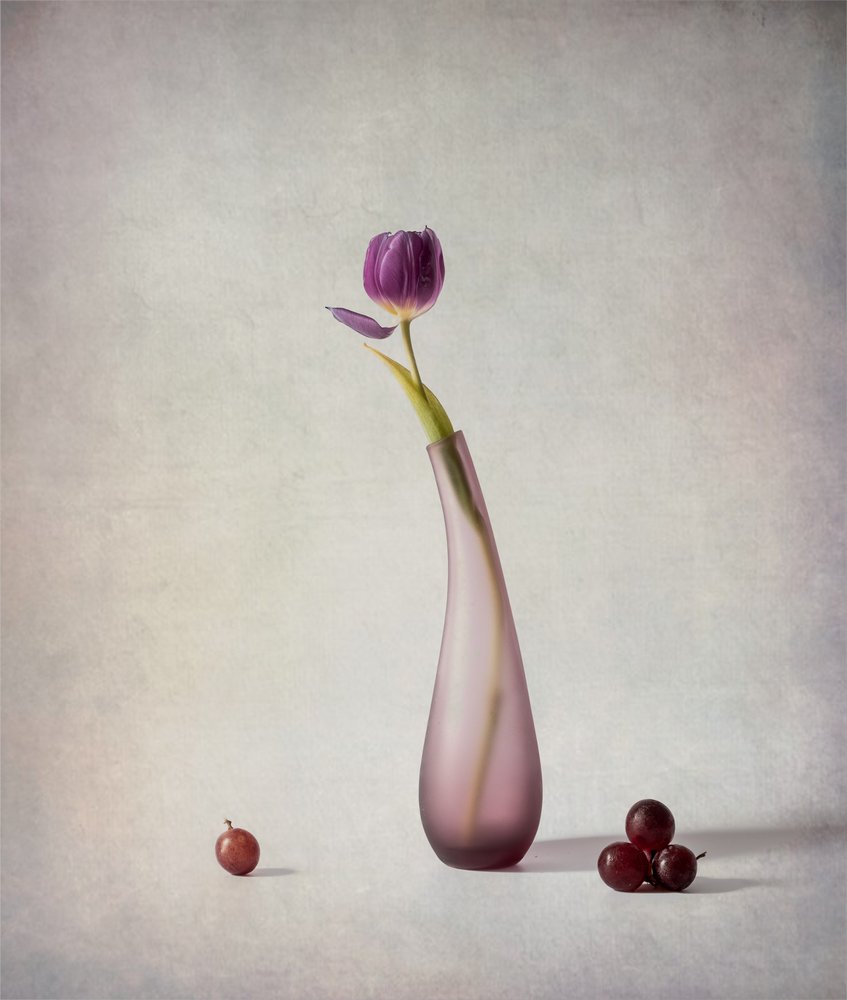 Naturaleza muerta con tulipanes morados de May G