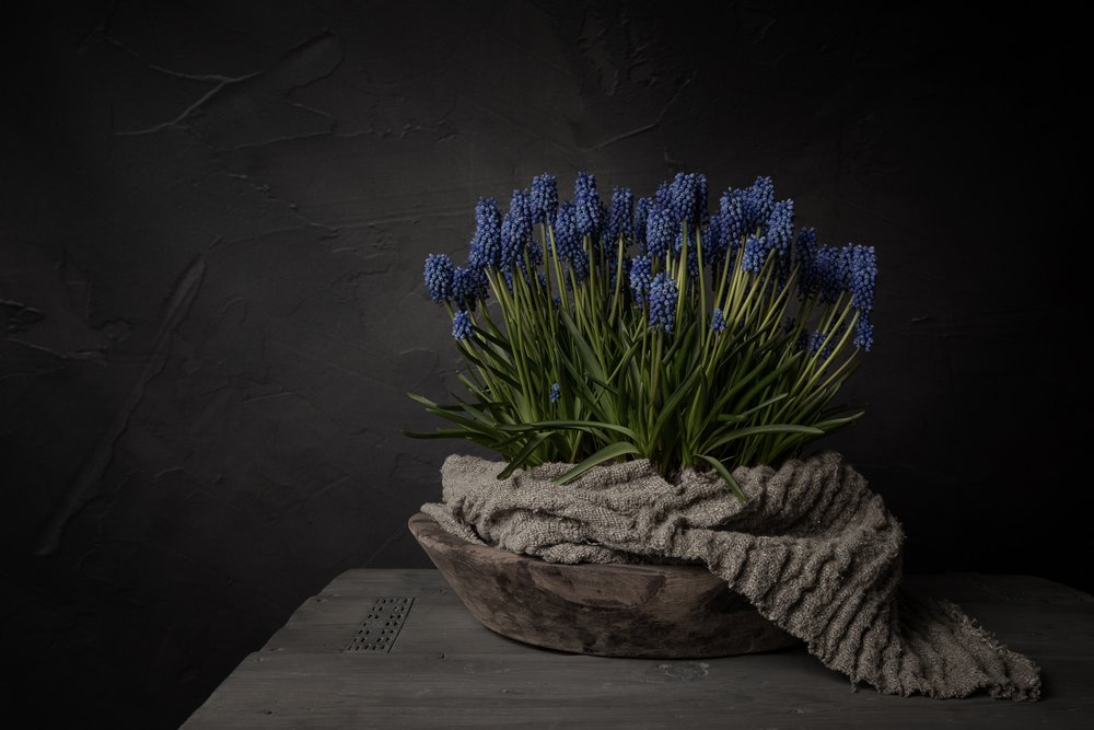 Flores azules rústicas de Mayra Pama