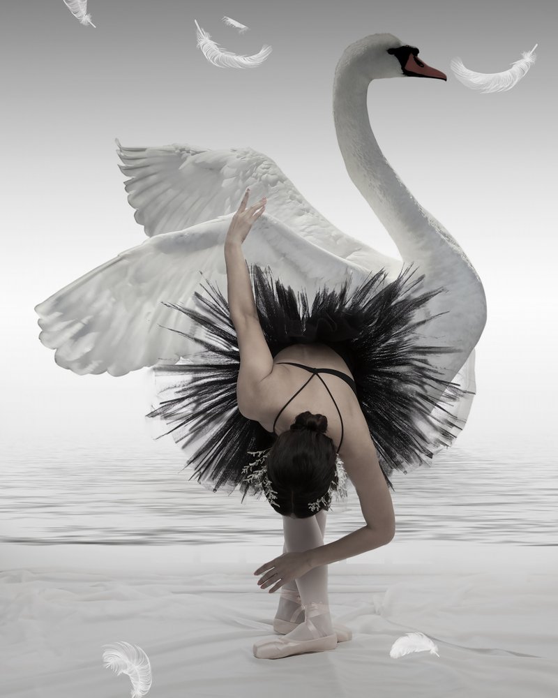 La bailarina del cisne negro de Mieke