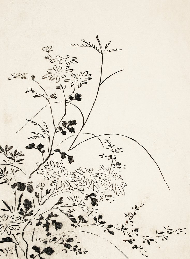 Flores y hierbas otoñales (1762) de Miyazaki Yuzen
