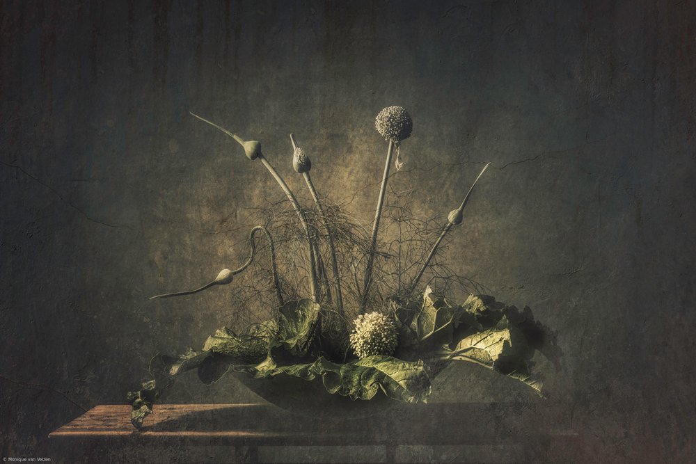 Naturaleza muerta botánica oscura de Monique van Velzen