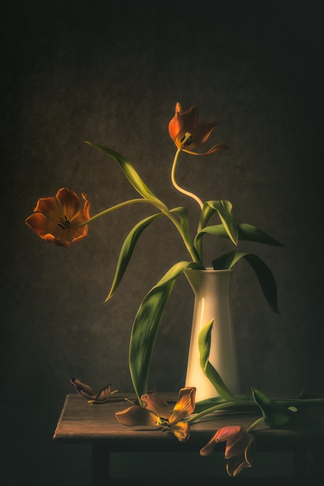  de Monique van Velzen
