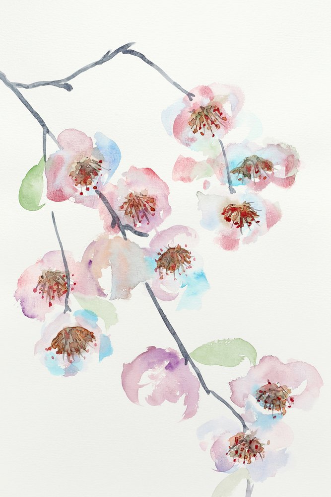 Delicadas flores rosas de Natalie Bruns