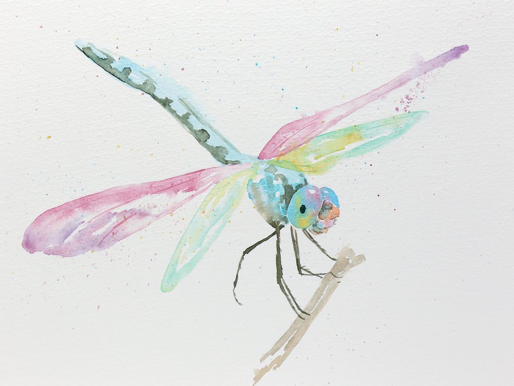 Libélulas en una rama en tonos pastel de Natalie Bruns