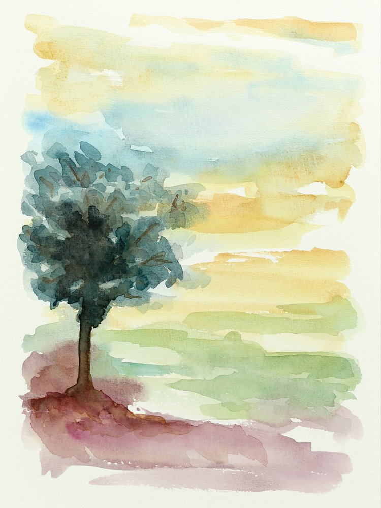 Puesta de sol sobre el árbol solitario de Natalie Bruns