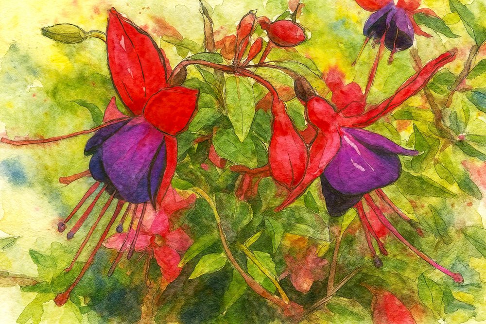 Flores de color fucsia intenso de Natalie Bruns