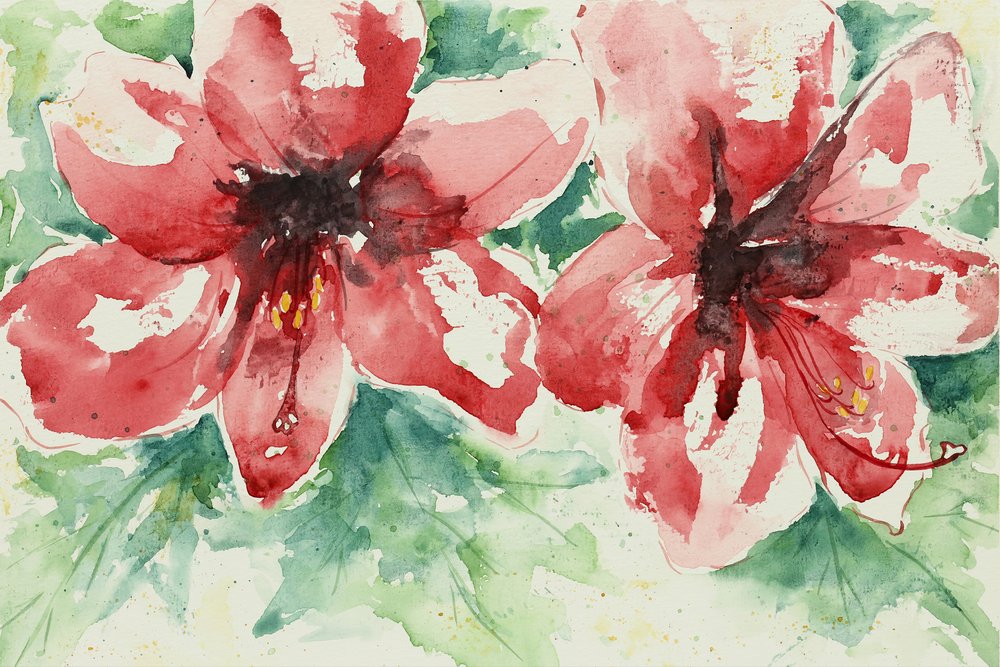 Flores de un rojo intenso de Natalie Bruns