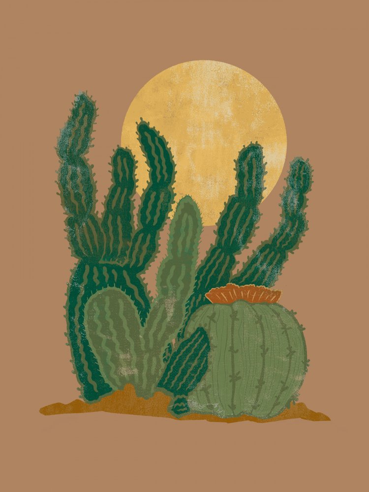 Luna de los cactus del desierto de Nikita Jariwala