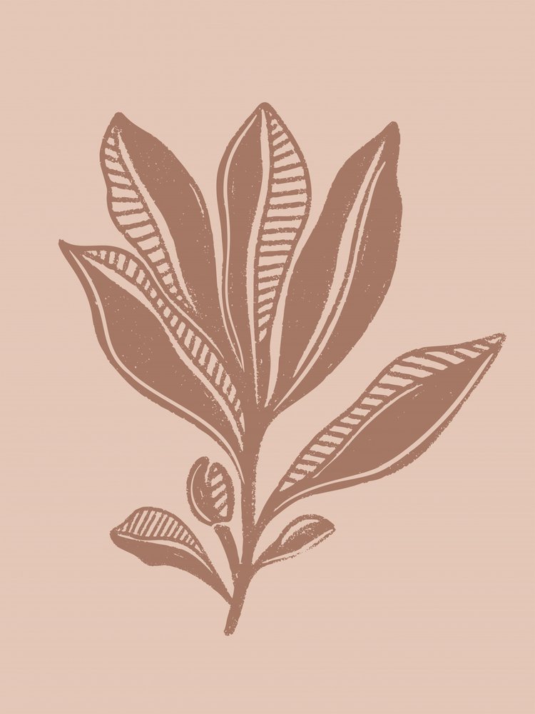 Dibujo botánico natural de Nikita Jariwala