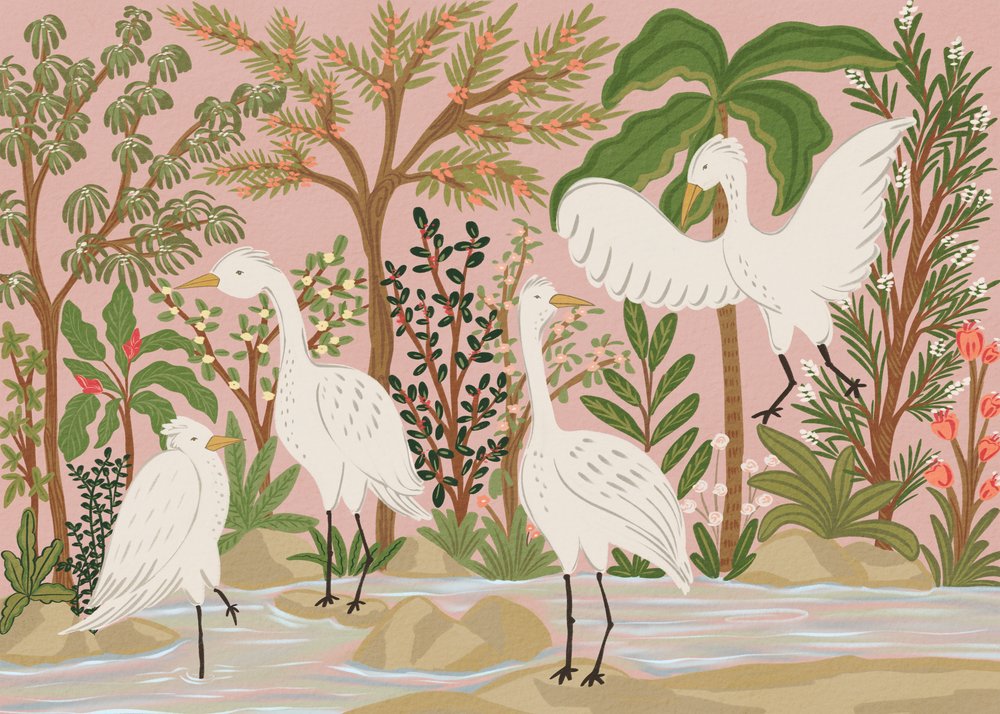 Garzas tranquilas de la selva de Nikita Jariwala