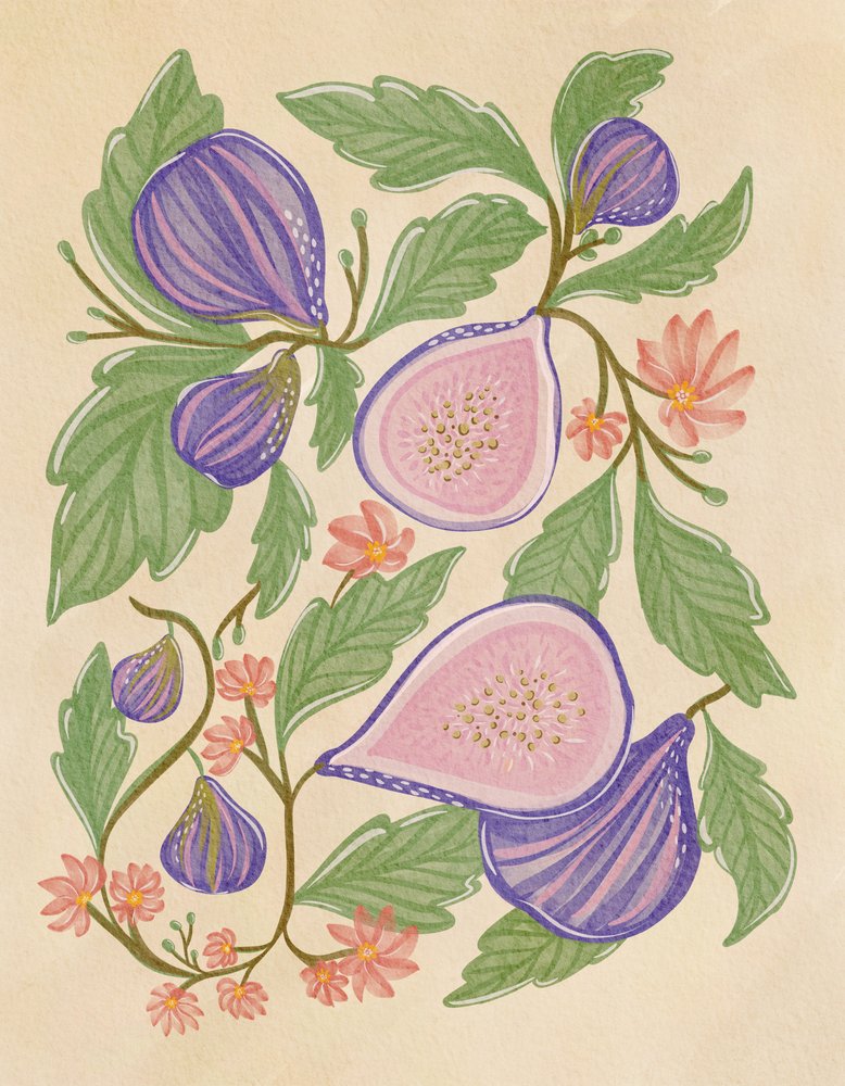 Higos morados y flores de Nikita Jariwala